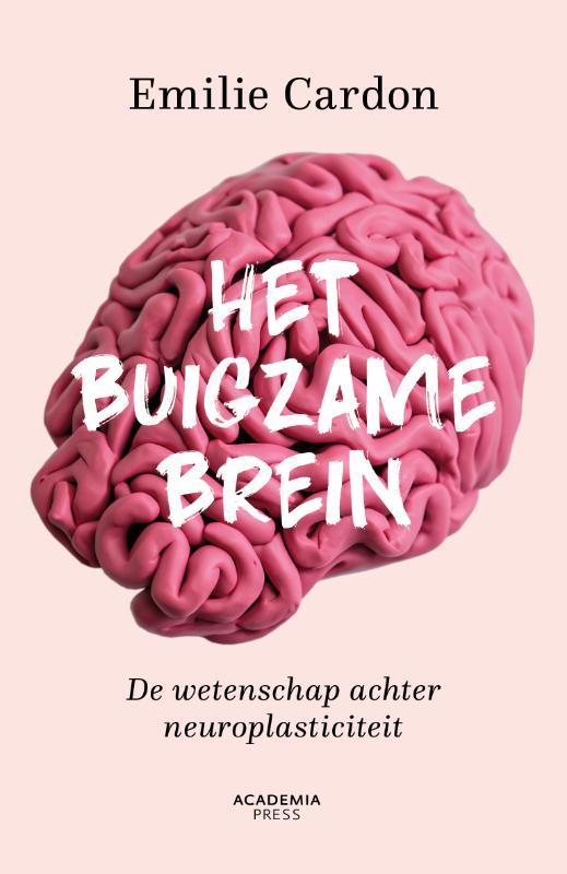 Omslag van Het buigzame brein