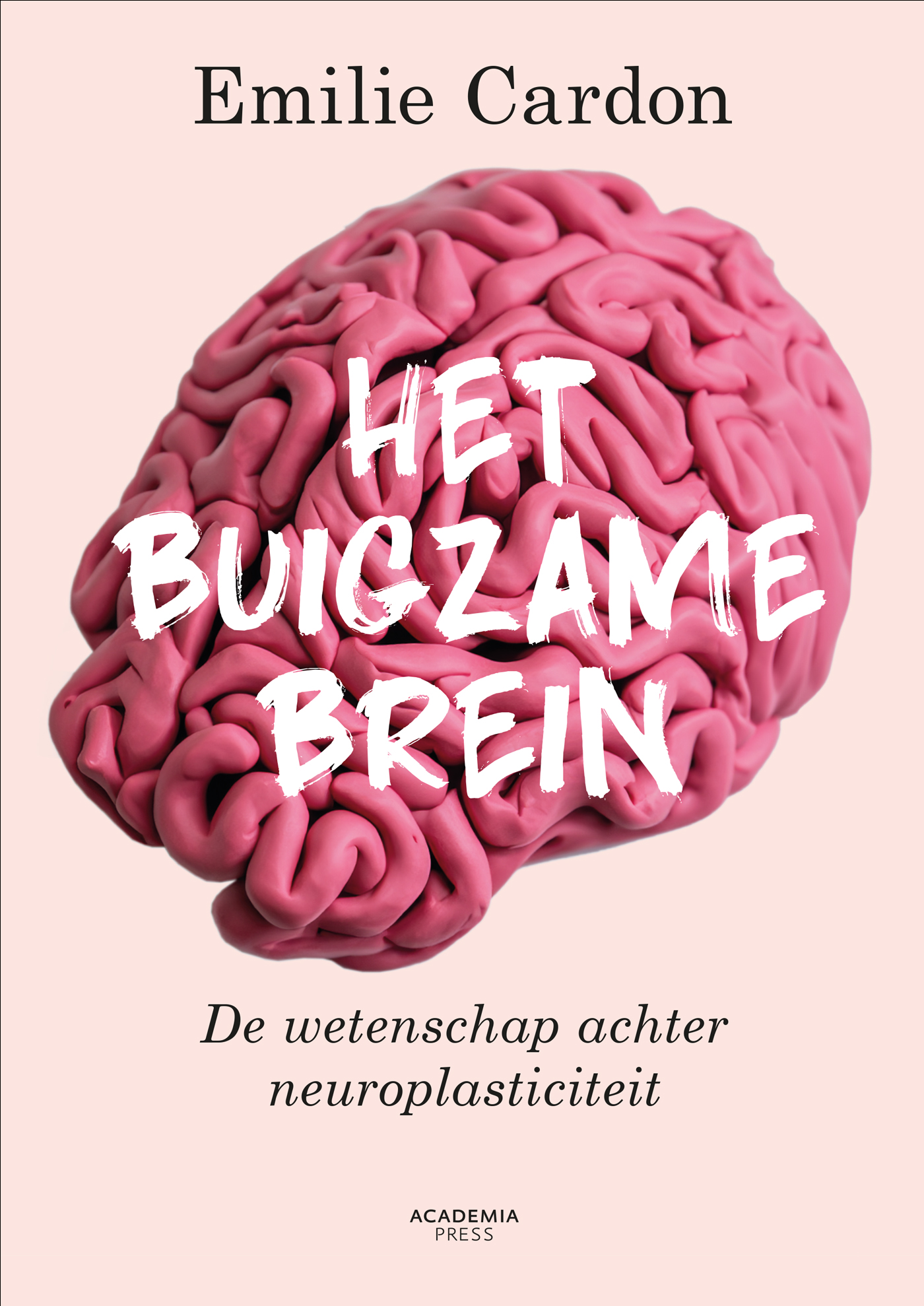 Omslag van Het buigzame brein