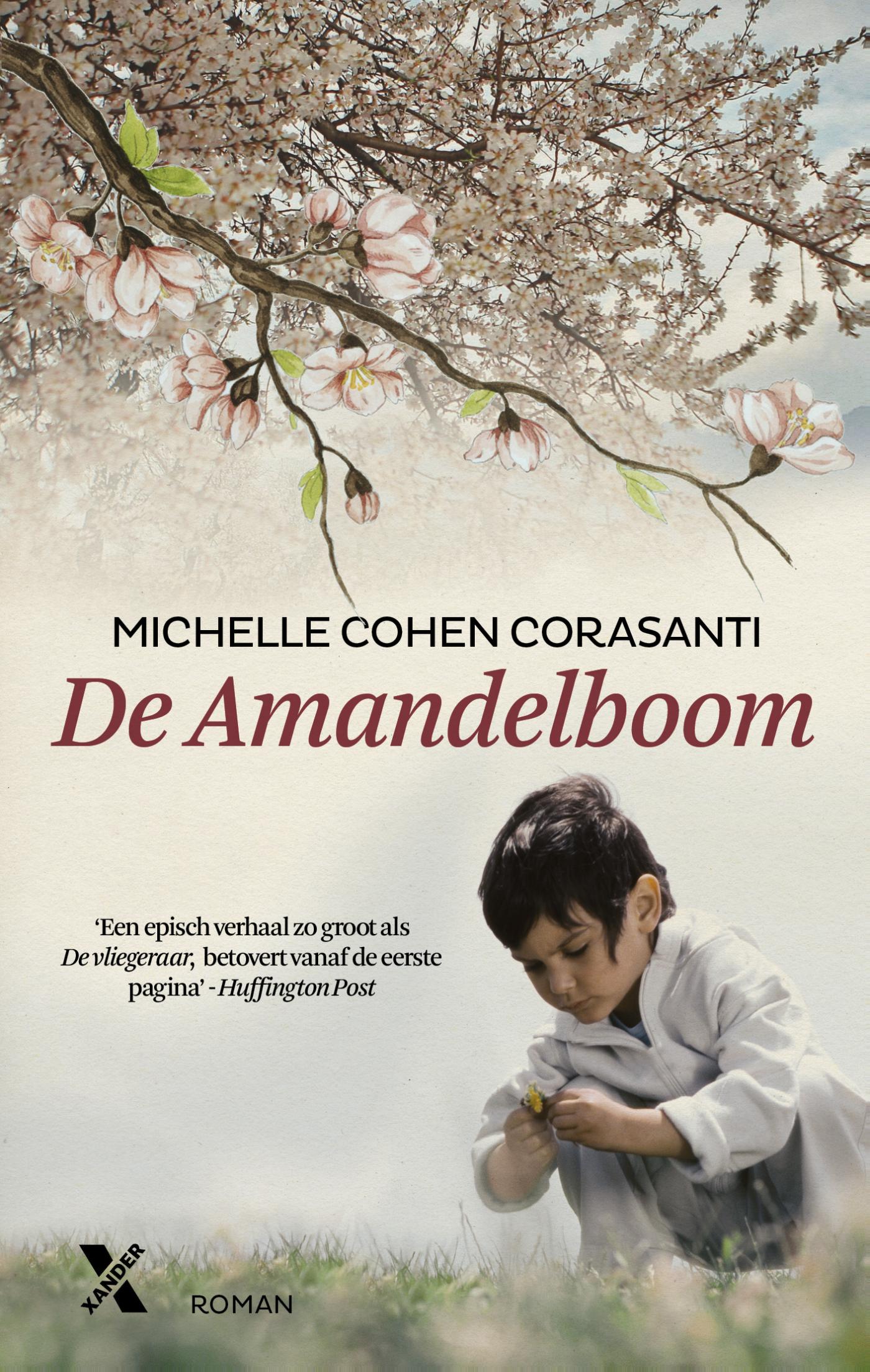Omslag van De amandelboom