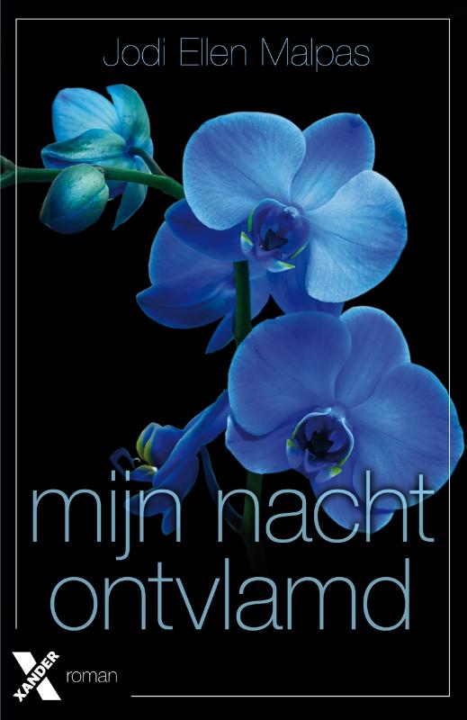 Omslag van Mijn nacht ontvlamd
