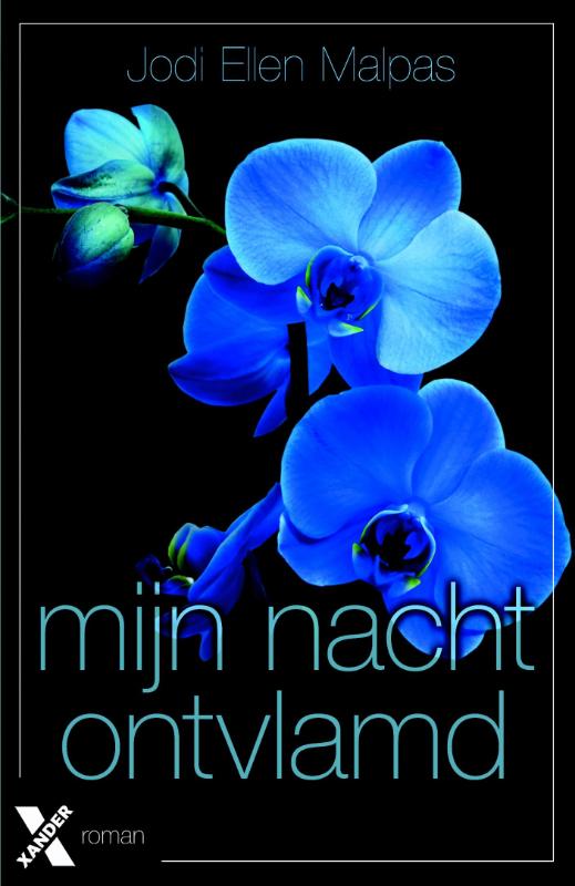 Omslag van Mijn nacht ontvlamd