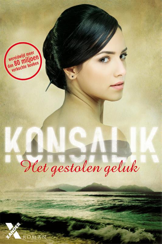 Omslag van Het gestolen geluk