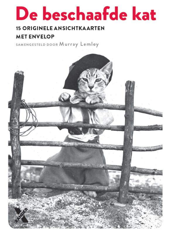 Omslag van De beschaafde kat