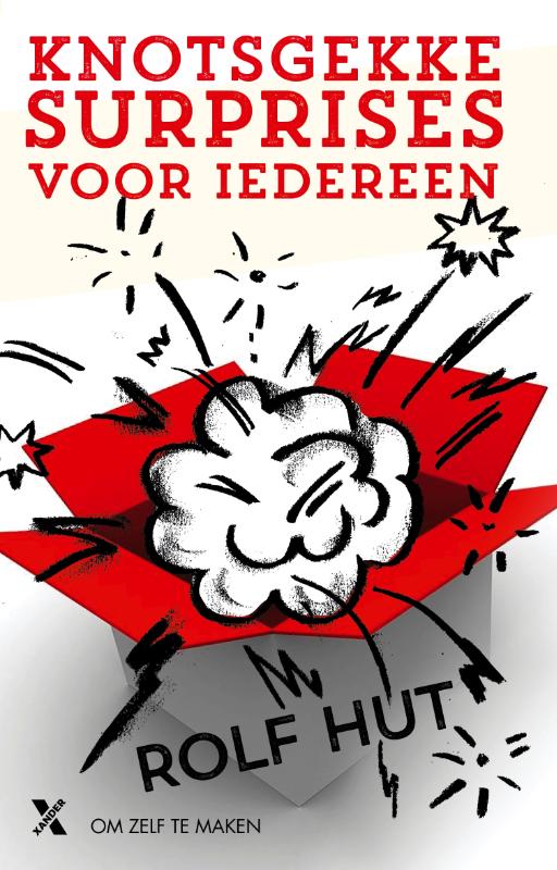 Omslag van Knotsgekke surprises om zelf te maken