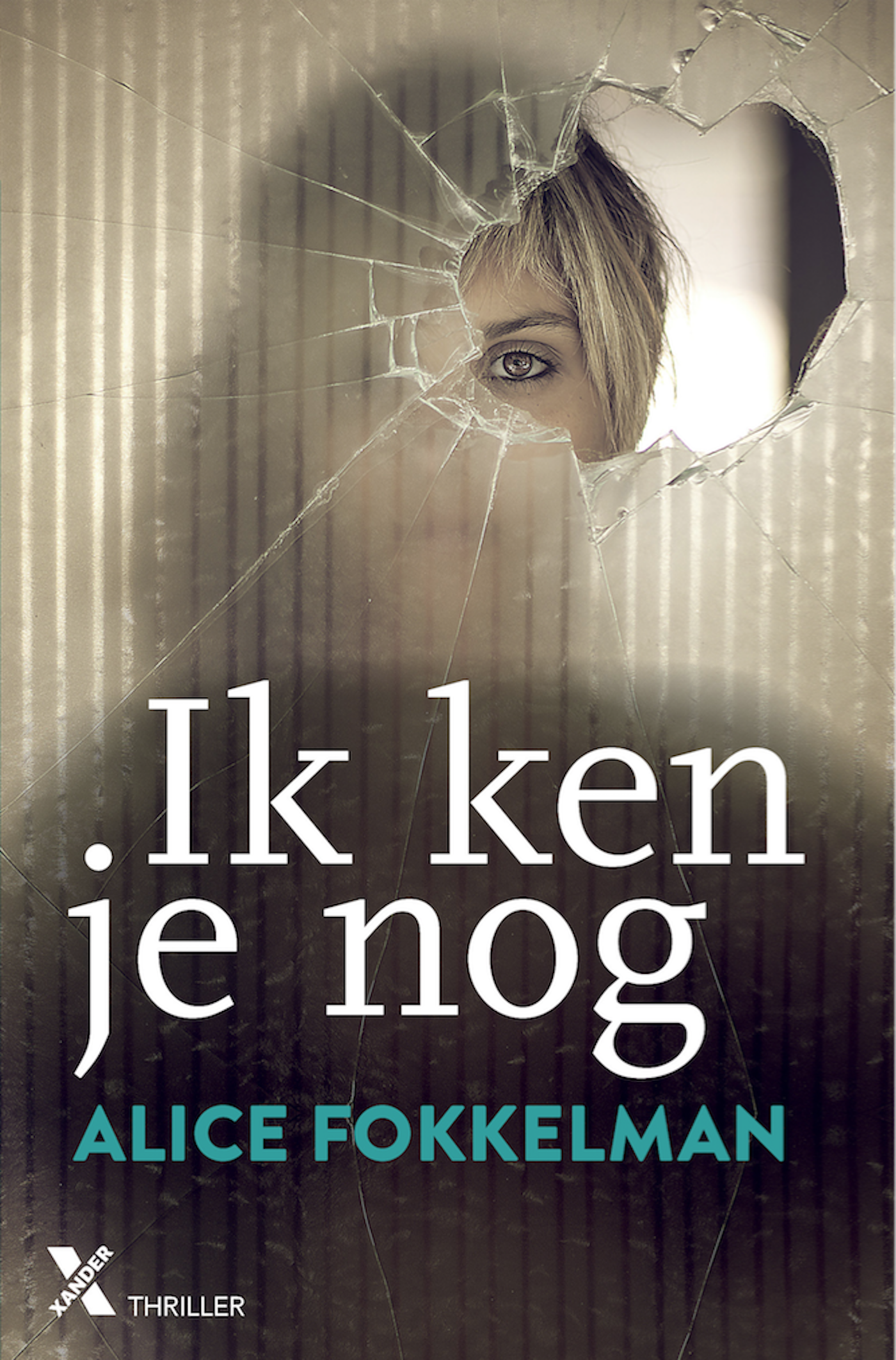 Omslag van Ik ken je nog