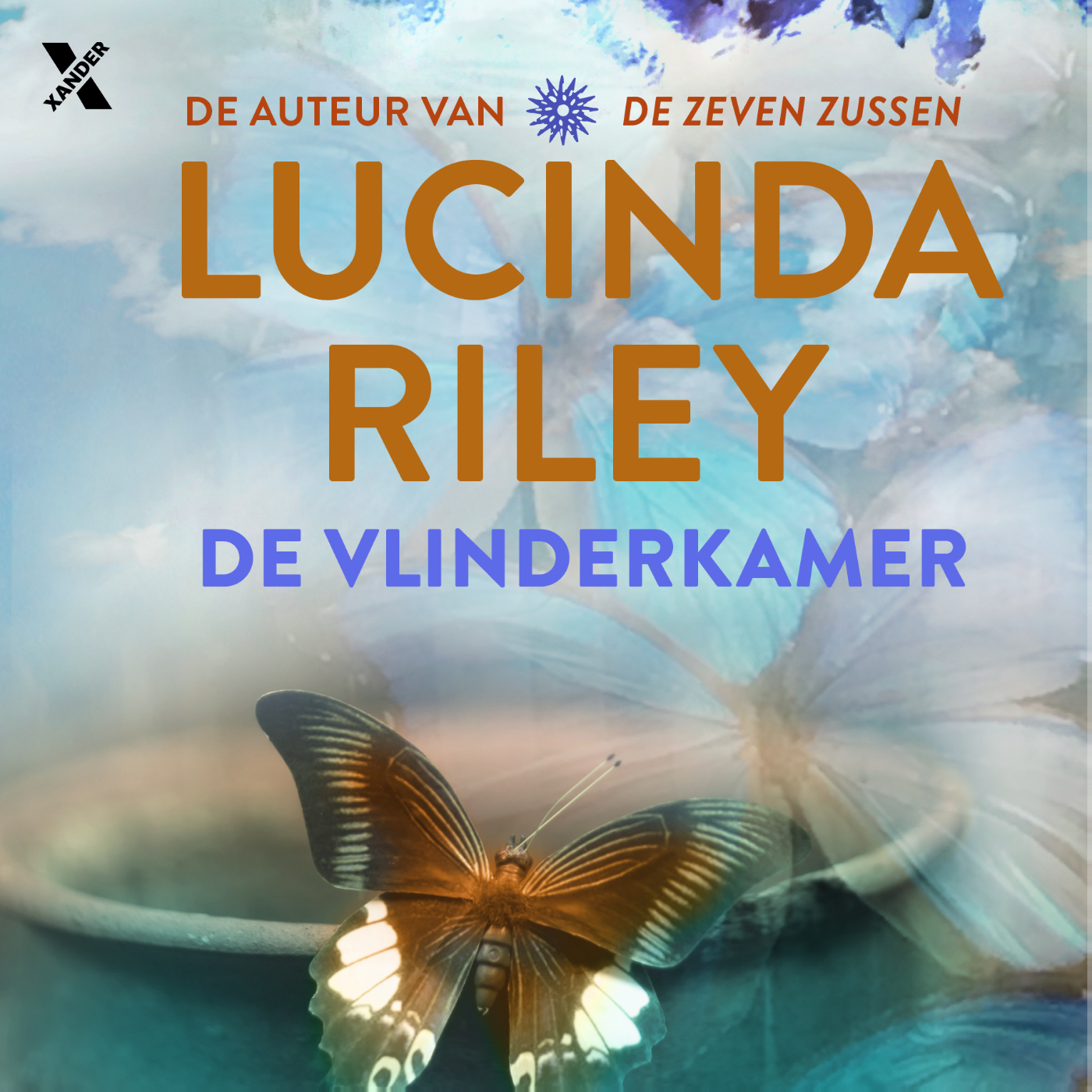 Omslag van De vlinderkamer