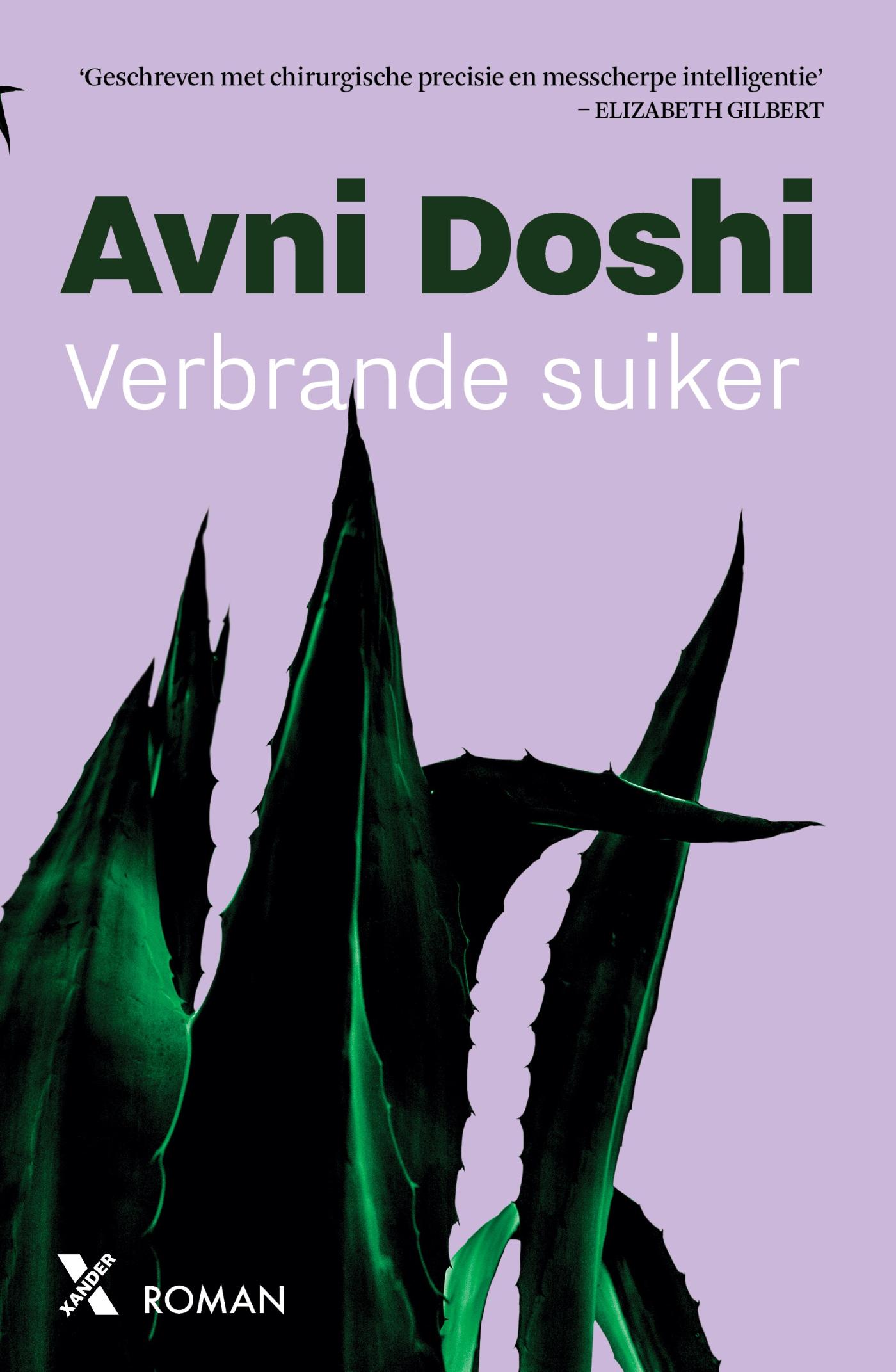 Omslag van Verbrande suiker