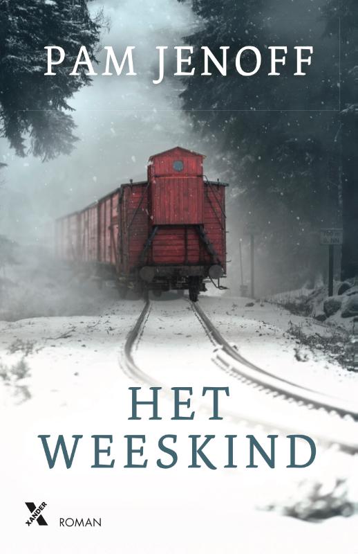 Omslag van Het weeskind