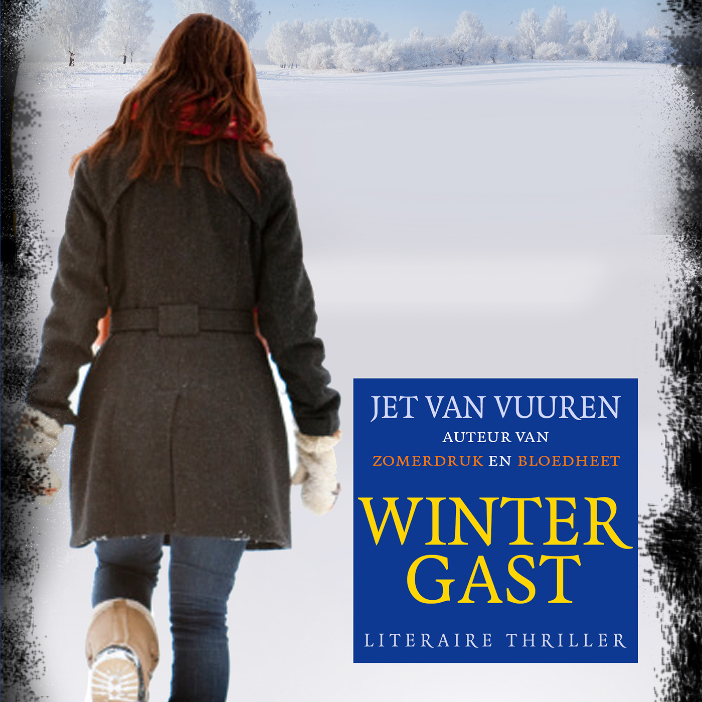 Omslag van Wintergast