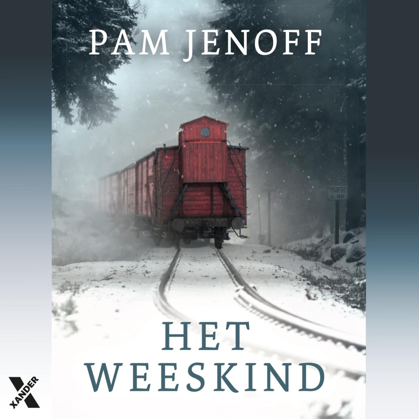 Omslag van Het weeskind