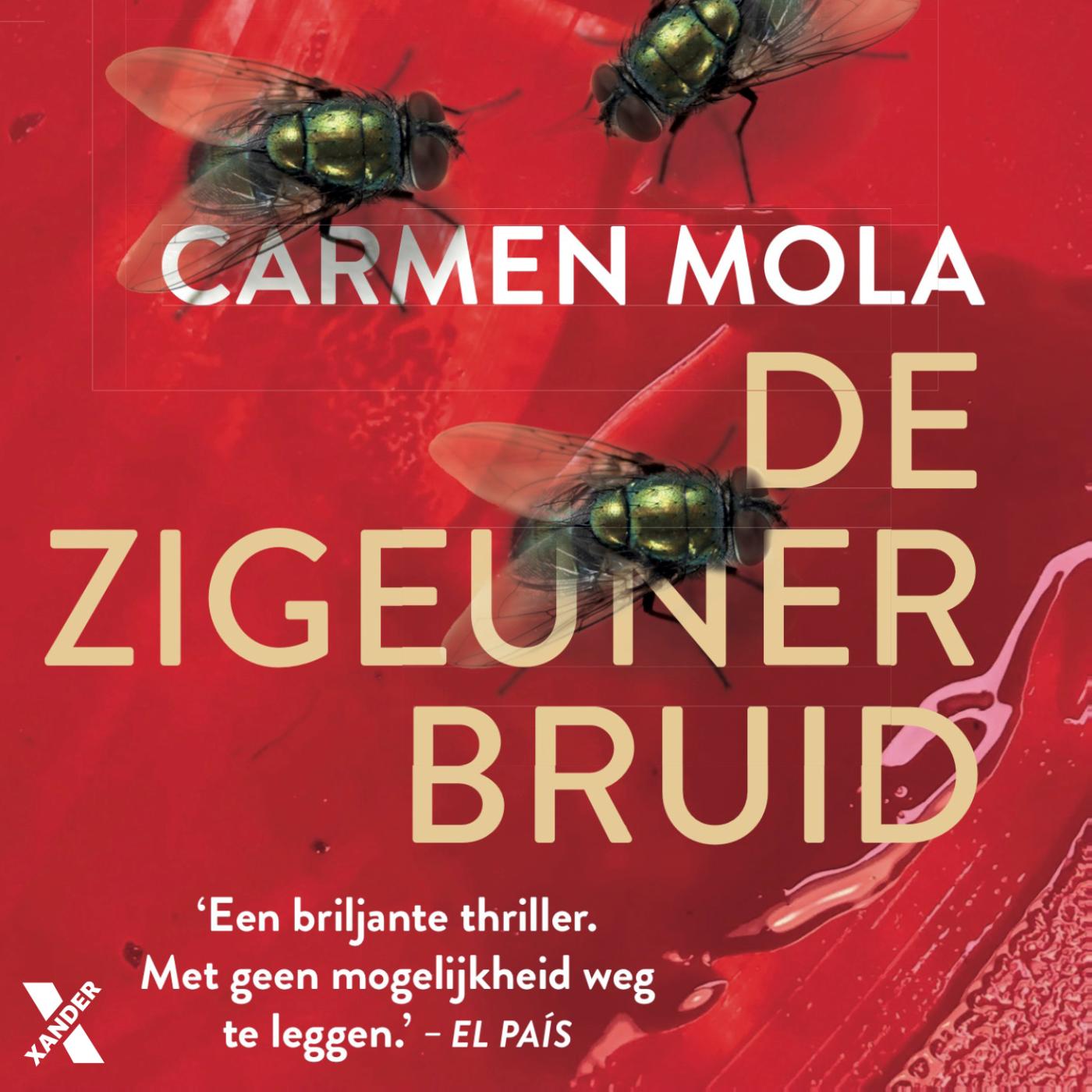 Omslag van De zigeunerbruid