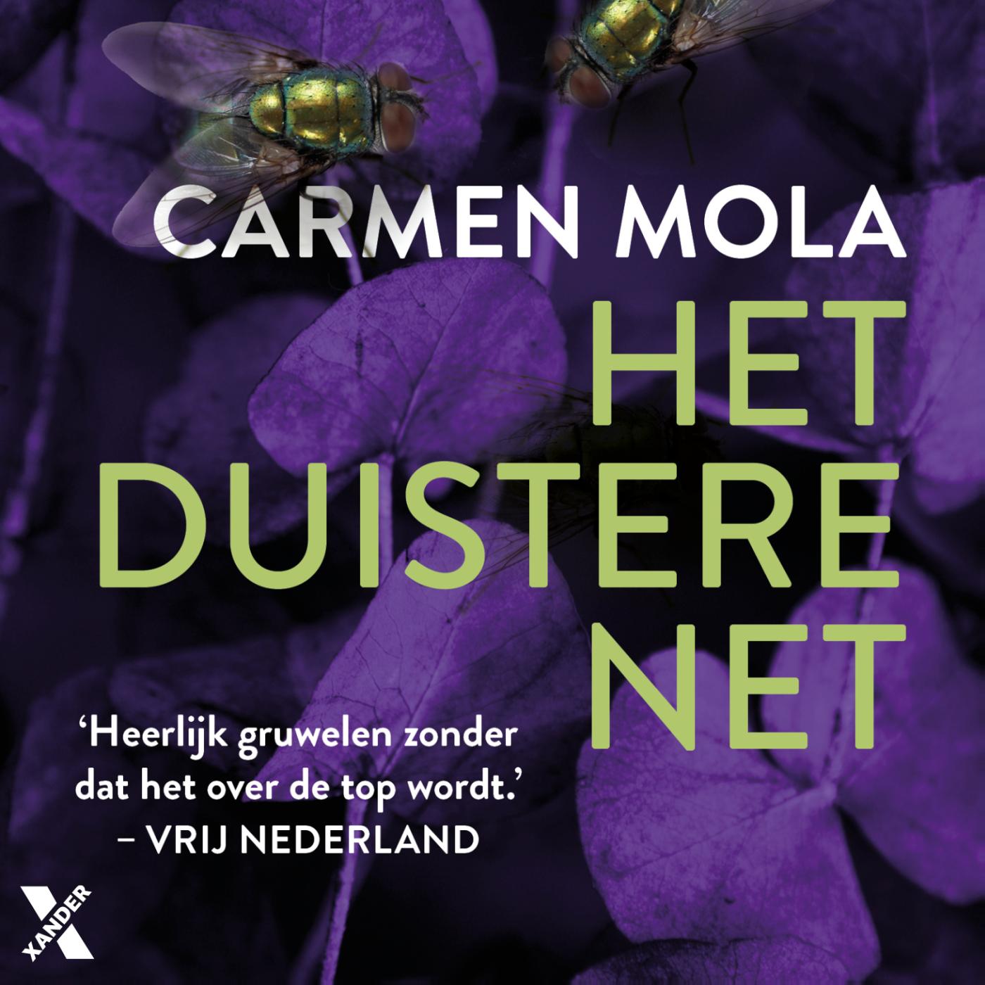 Omslag van Het duistere net