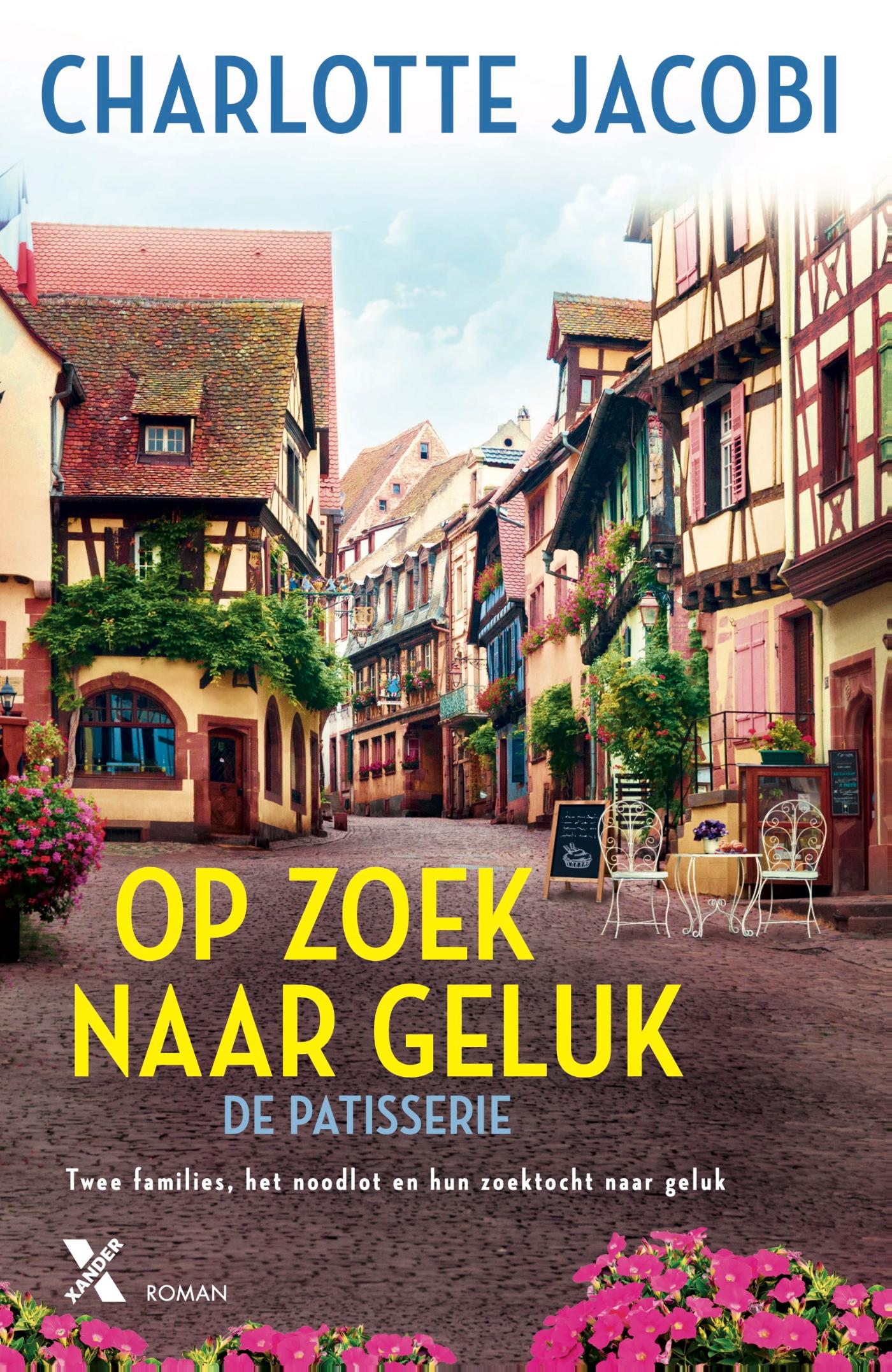 Omslag van Op zoek naar geluk