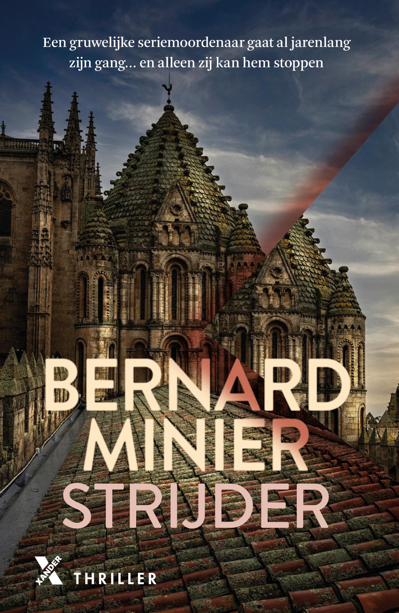 Omslag van Strijder
