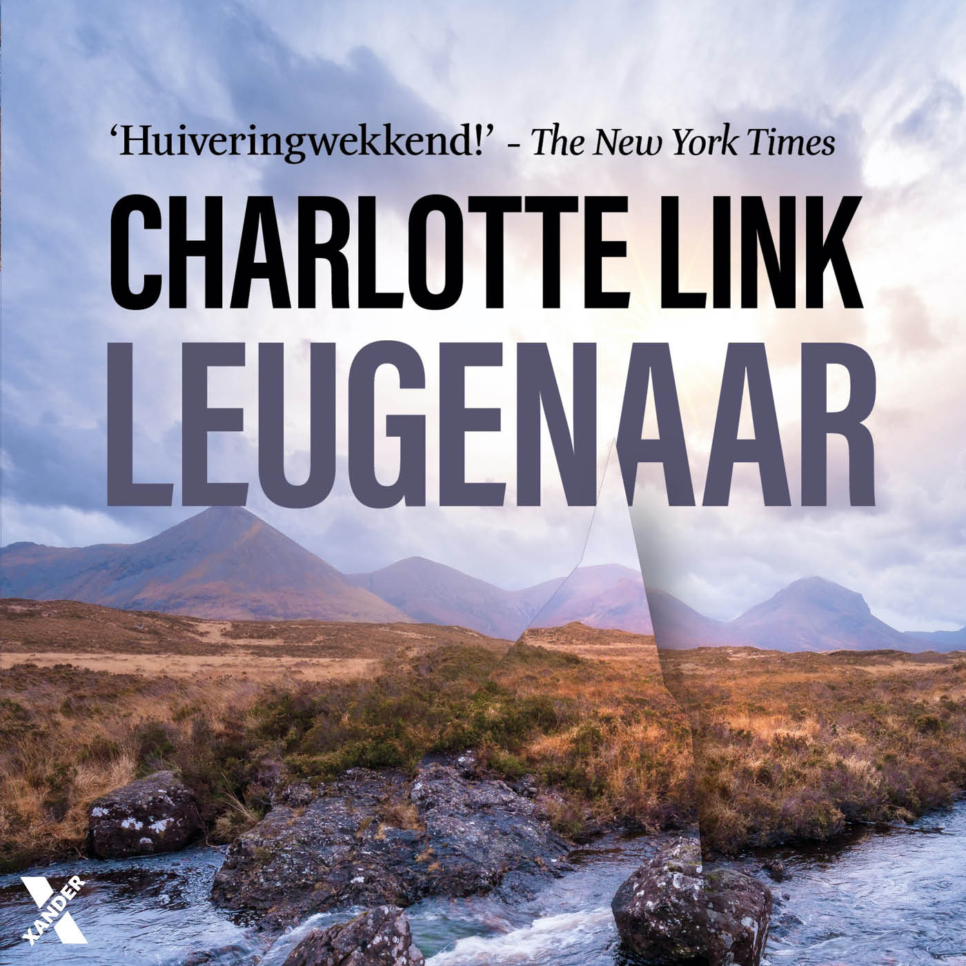 Omslag van Leugenaar