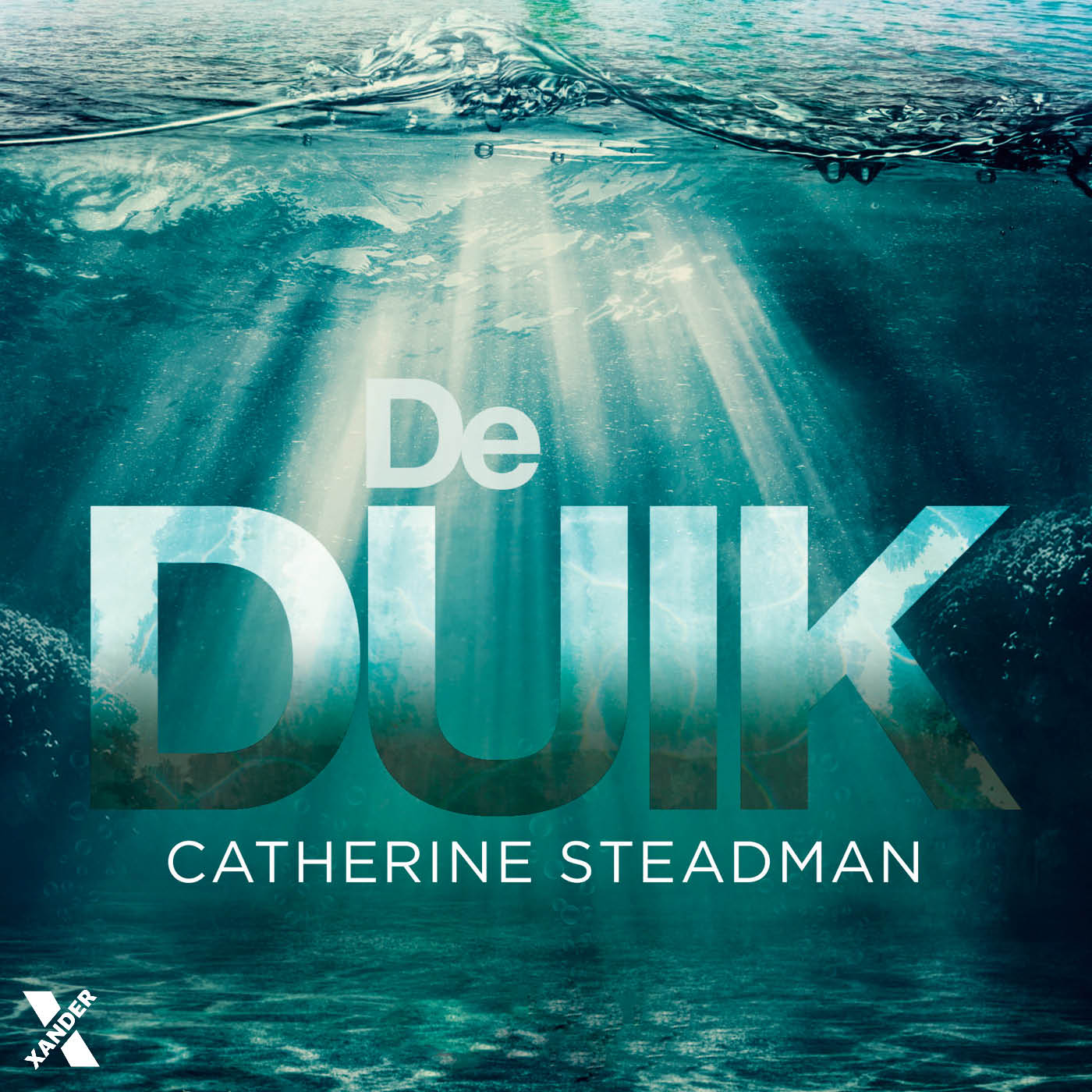 Omslag van De duik