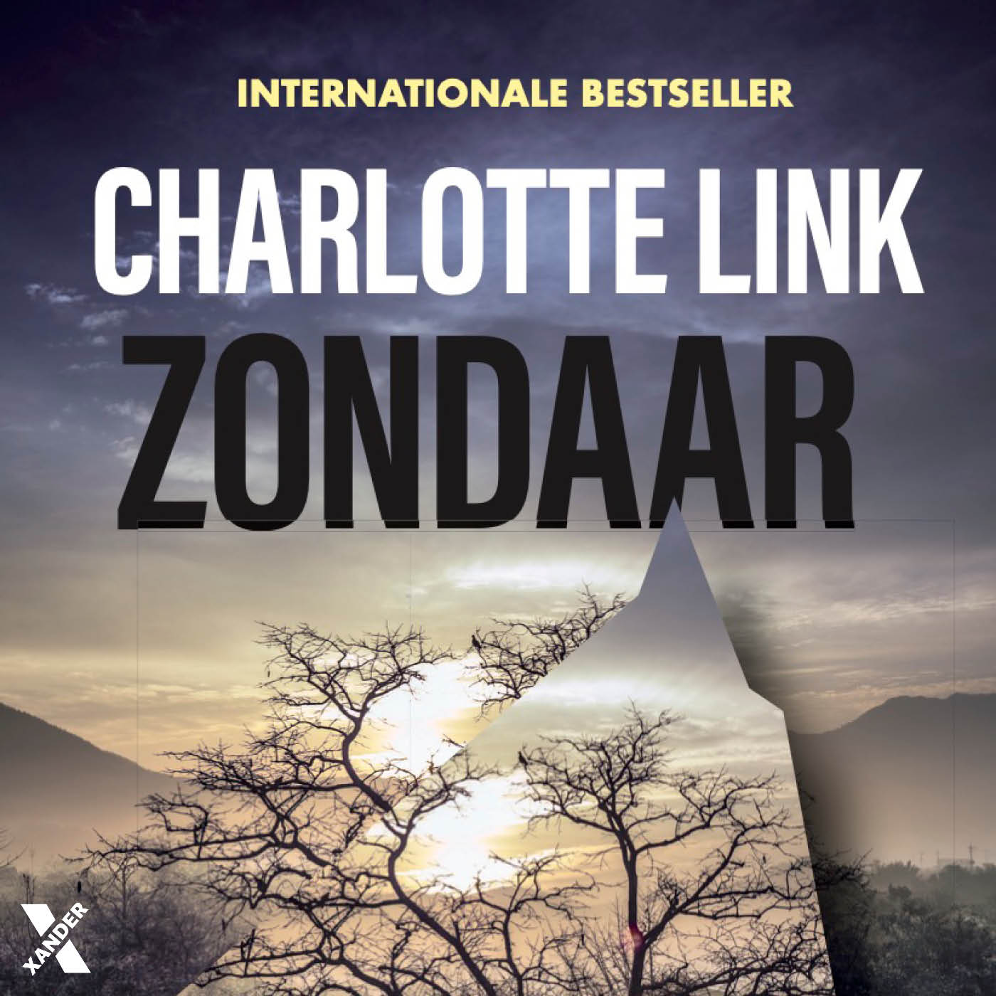 Omslag van Zondaar