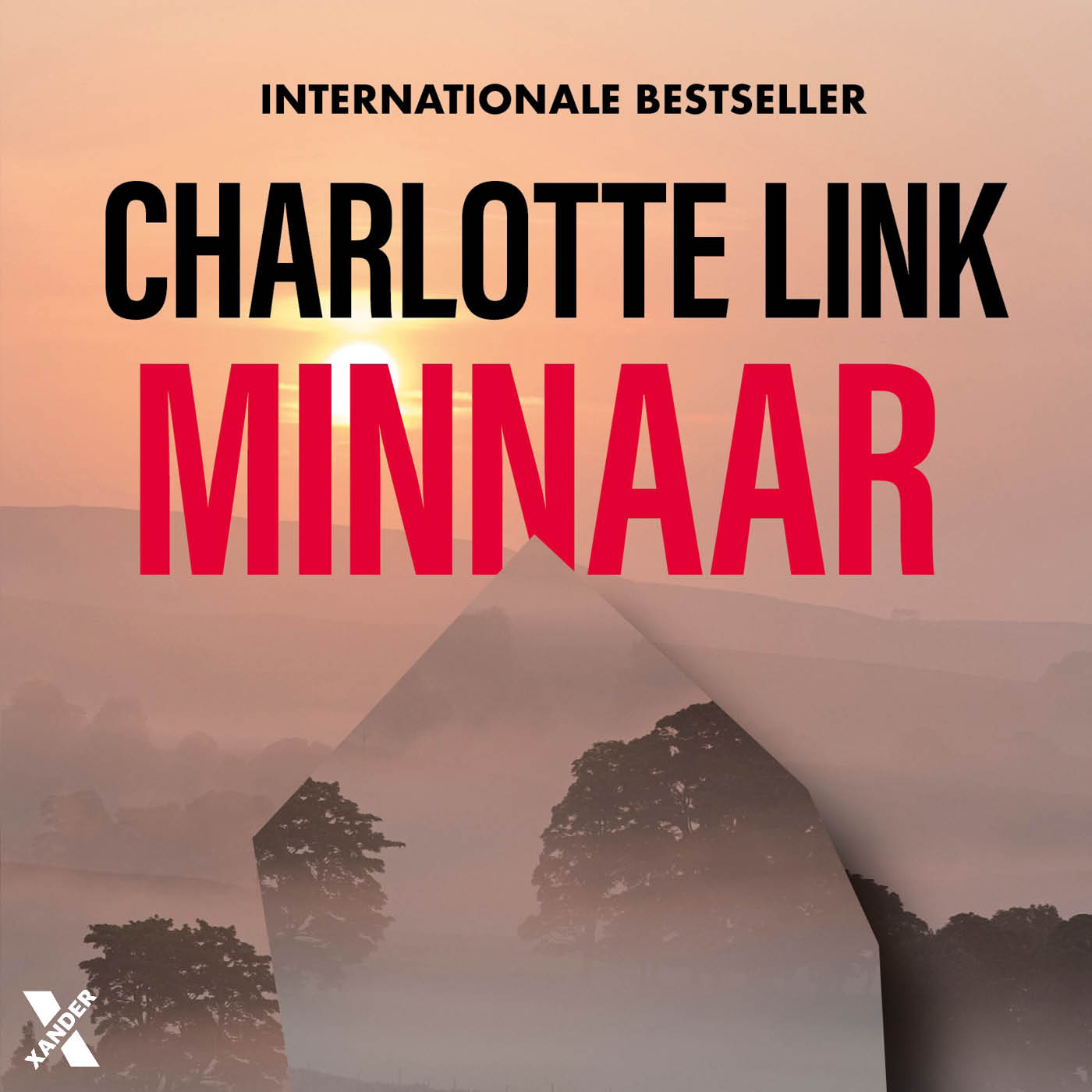 Omslag van Minnaar