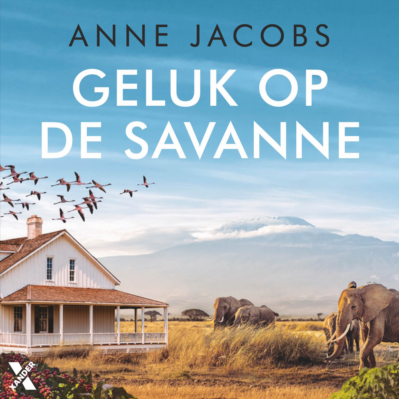 Omslag van Geluk op de savanne