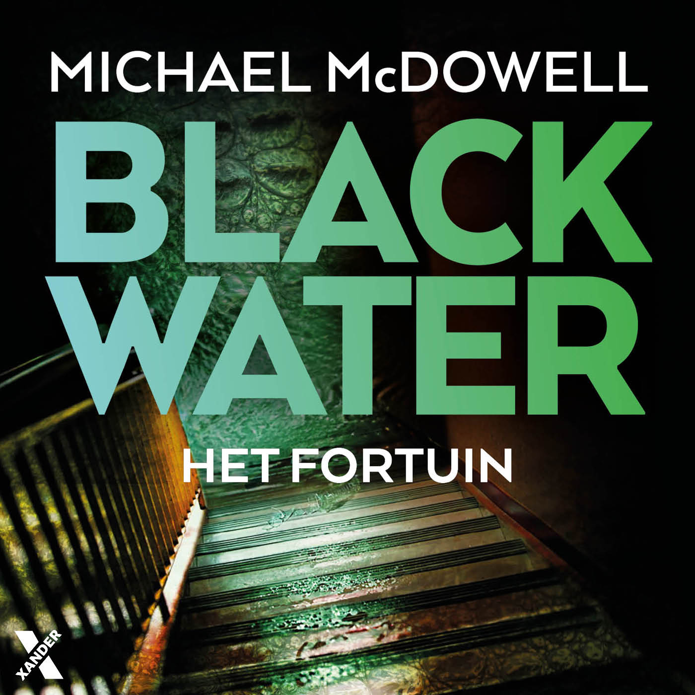 Omslag van Het fortuin