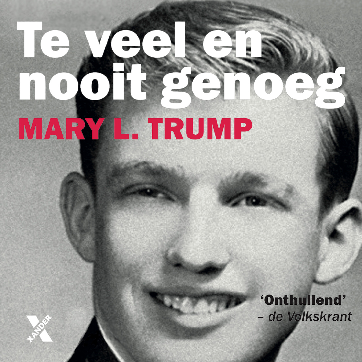 Omslag van Te veel en nooit genoeg