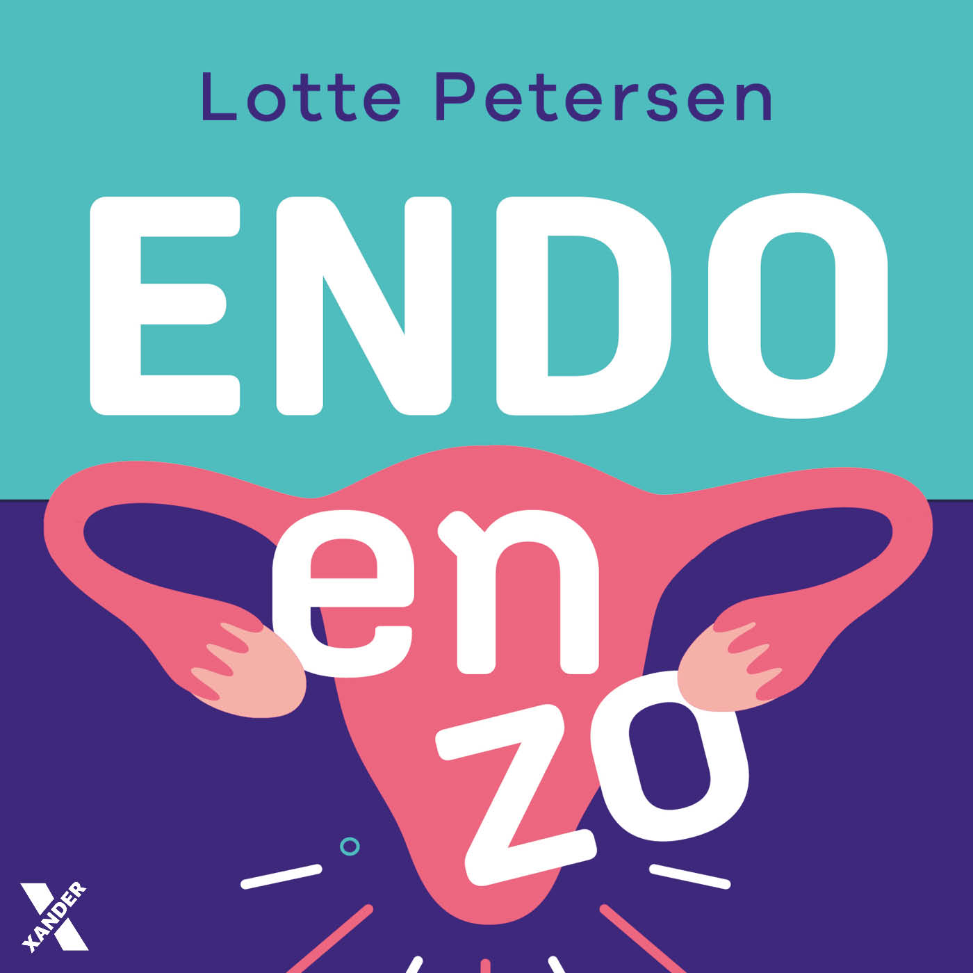 Omslag van Endo en zo