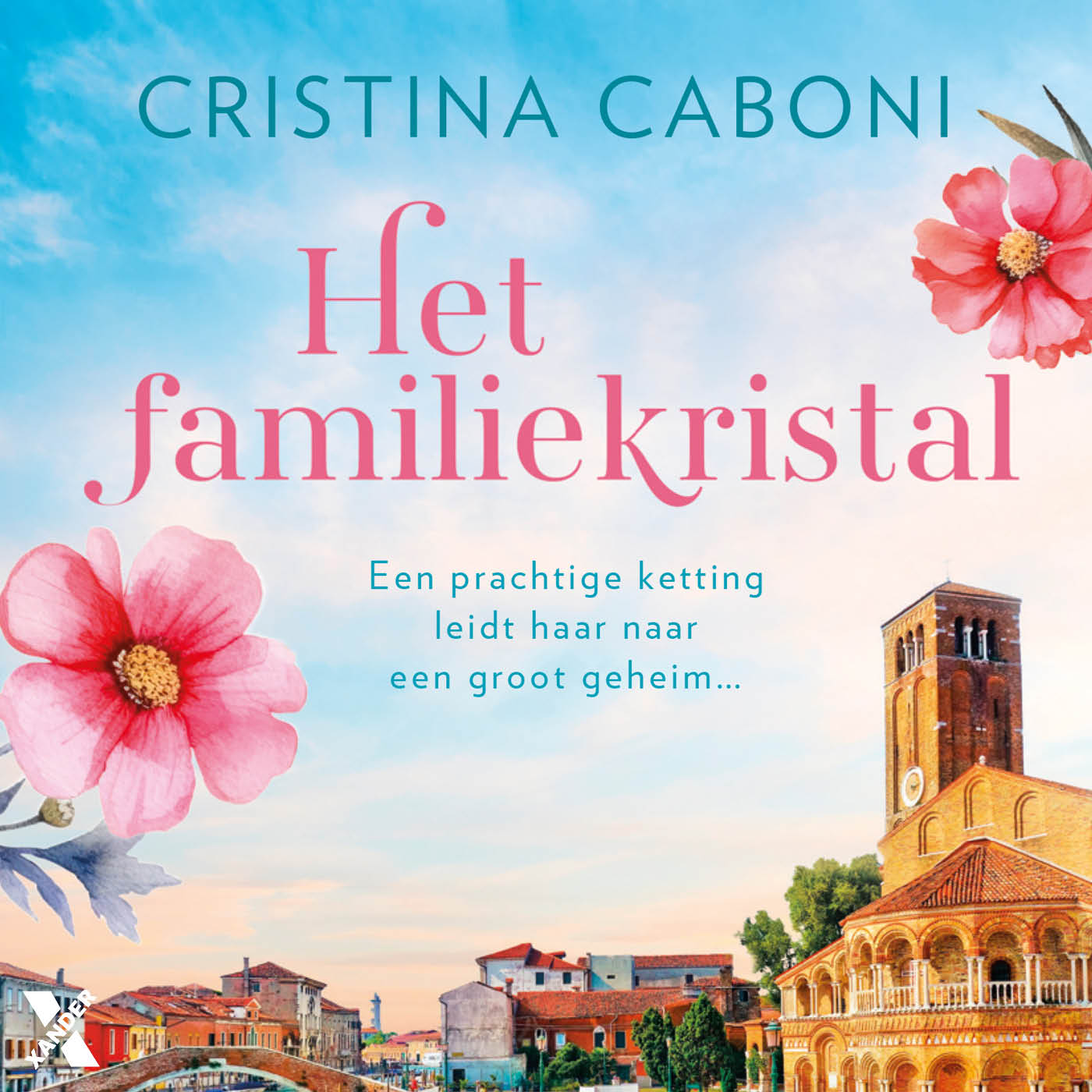 Omslag van Het familiekristal