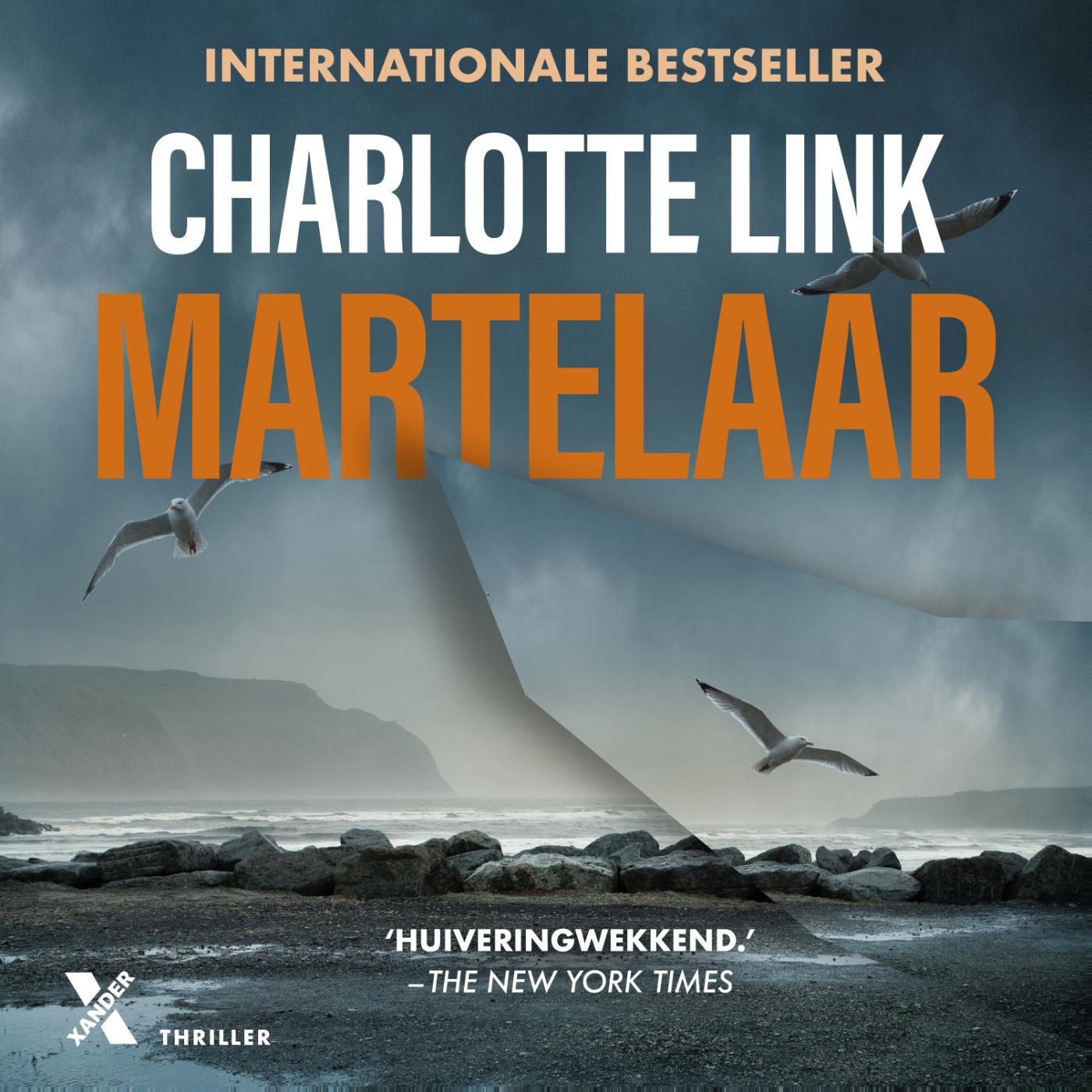 Omslag van Martelaar