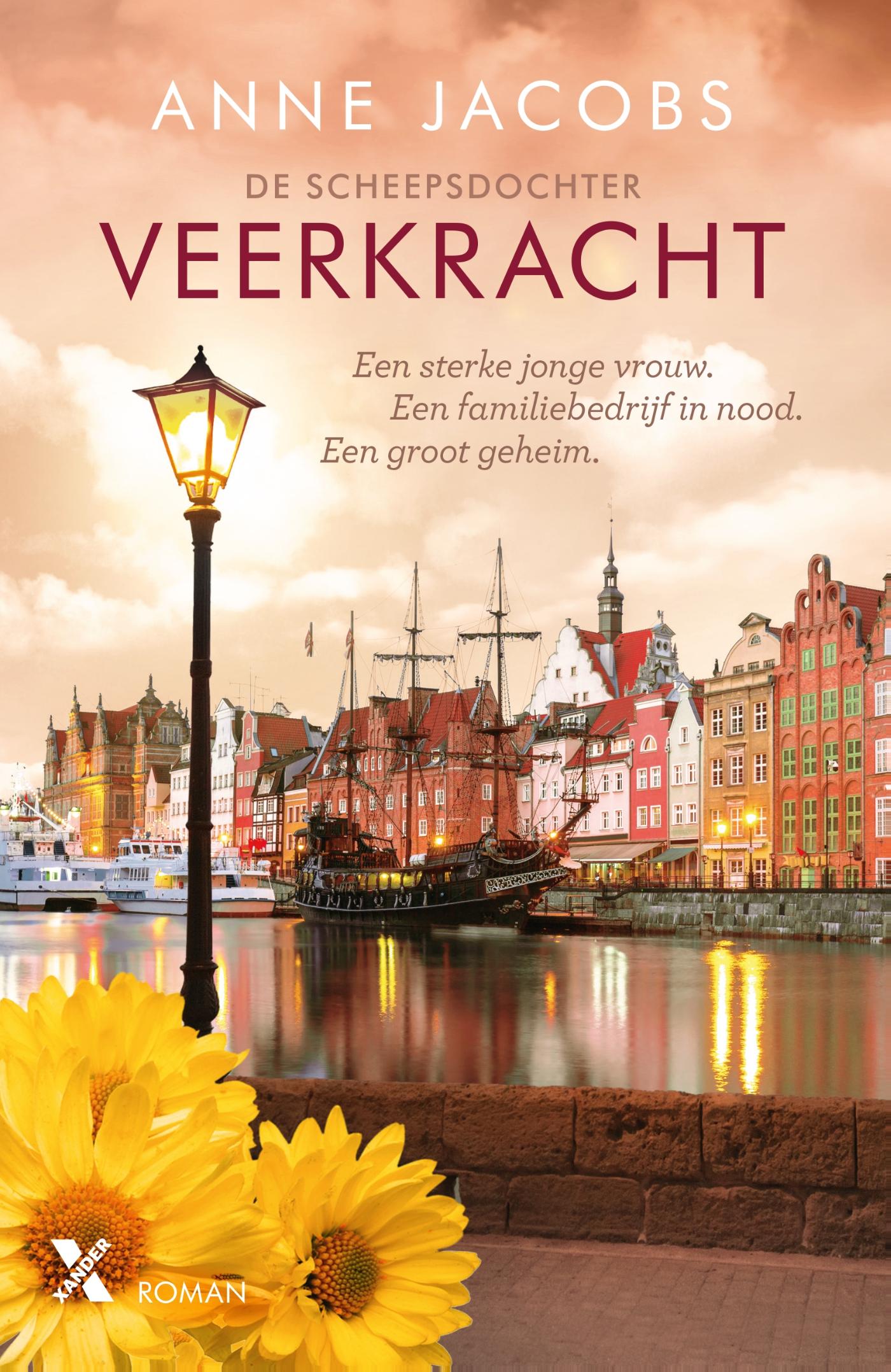 Omslag van Veerkracht