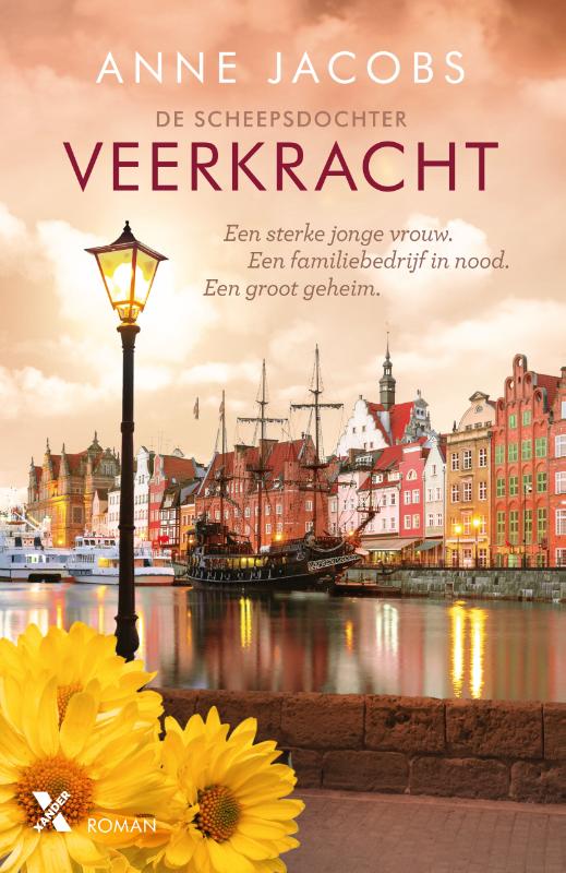 Omslag van Veerkracht