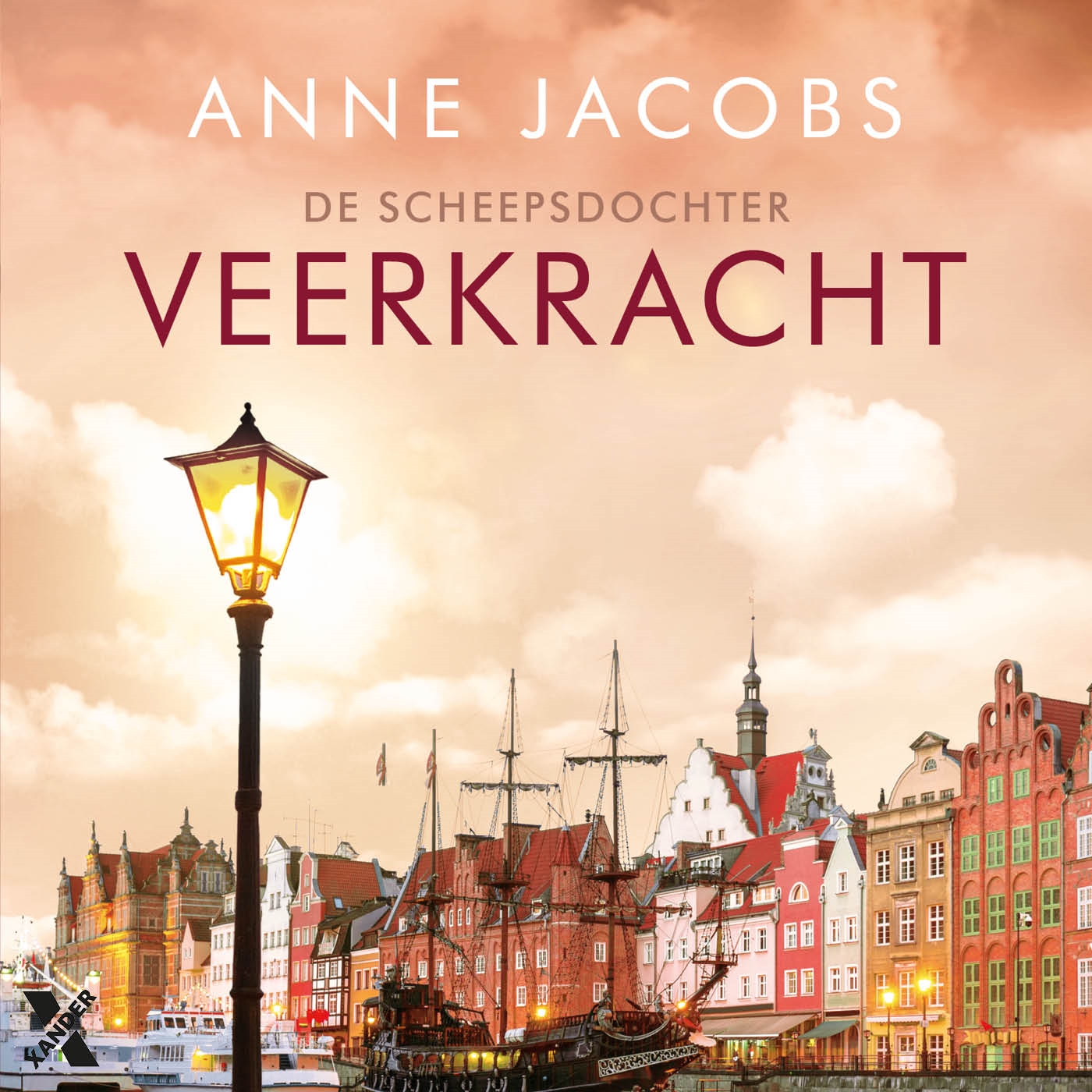 Omslag van Veerkracht