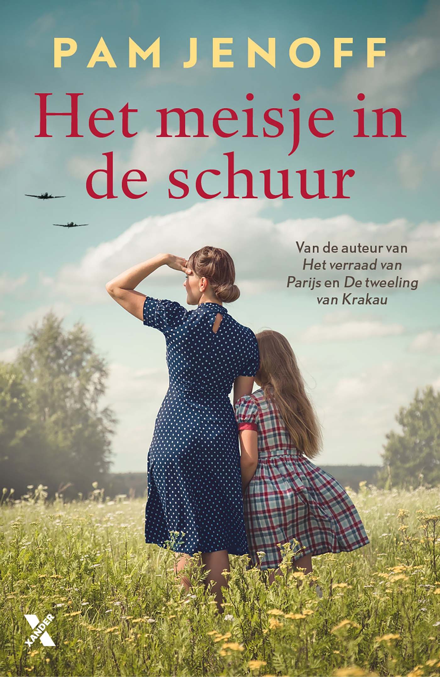 Omslag van Het meisje in de schuur