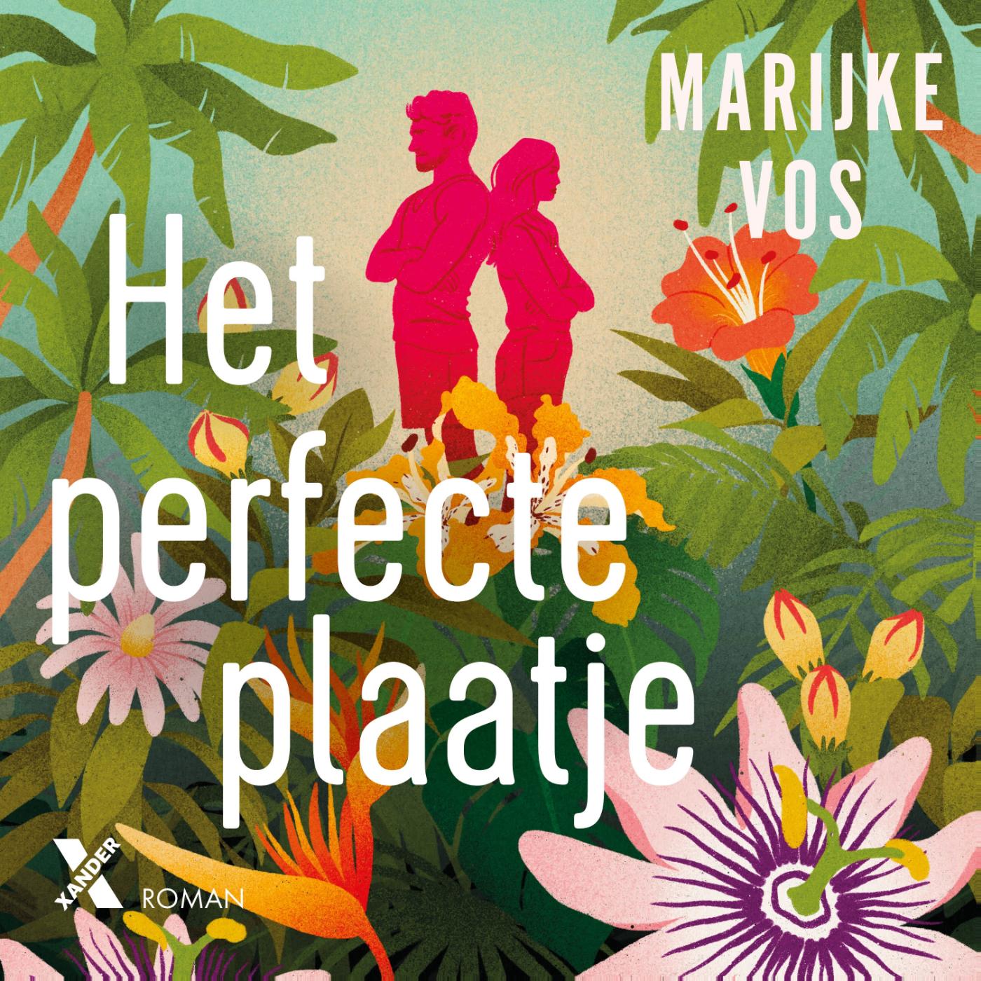 Omslag van Het perfecte plaatje