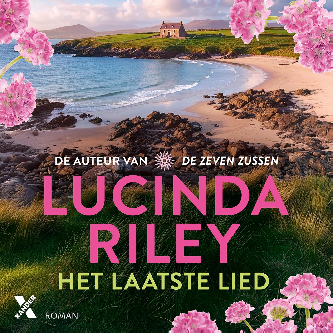 Omslag van Het laatste lied