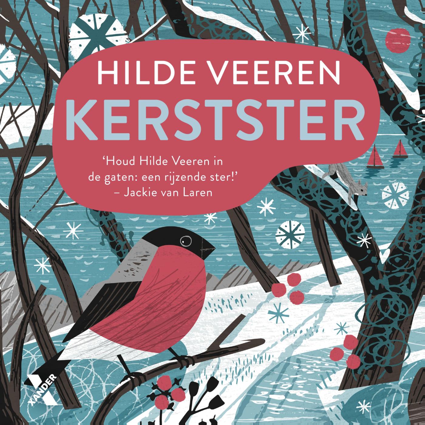 Omslag van Kerstster