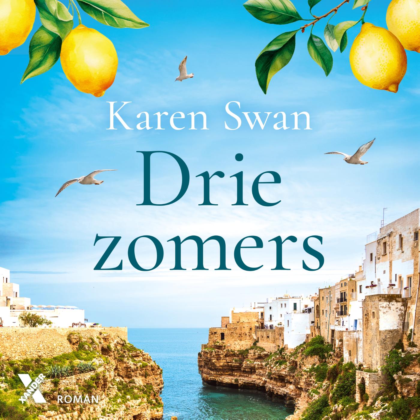Omslag van Drie zomers