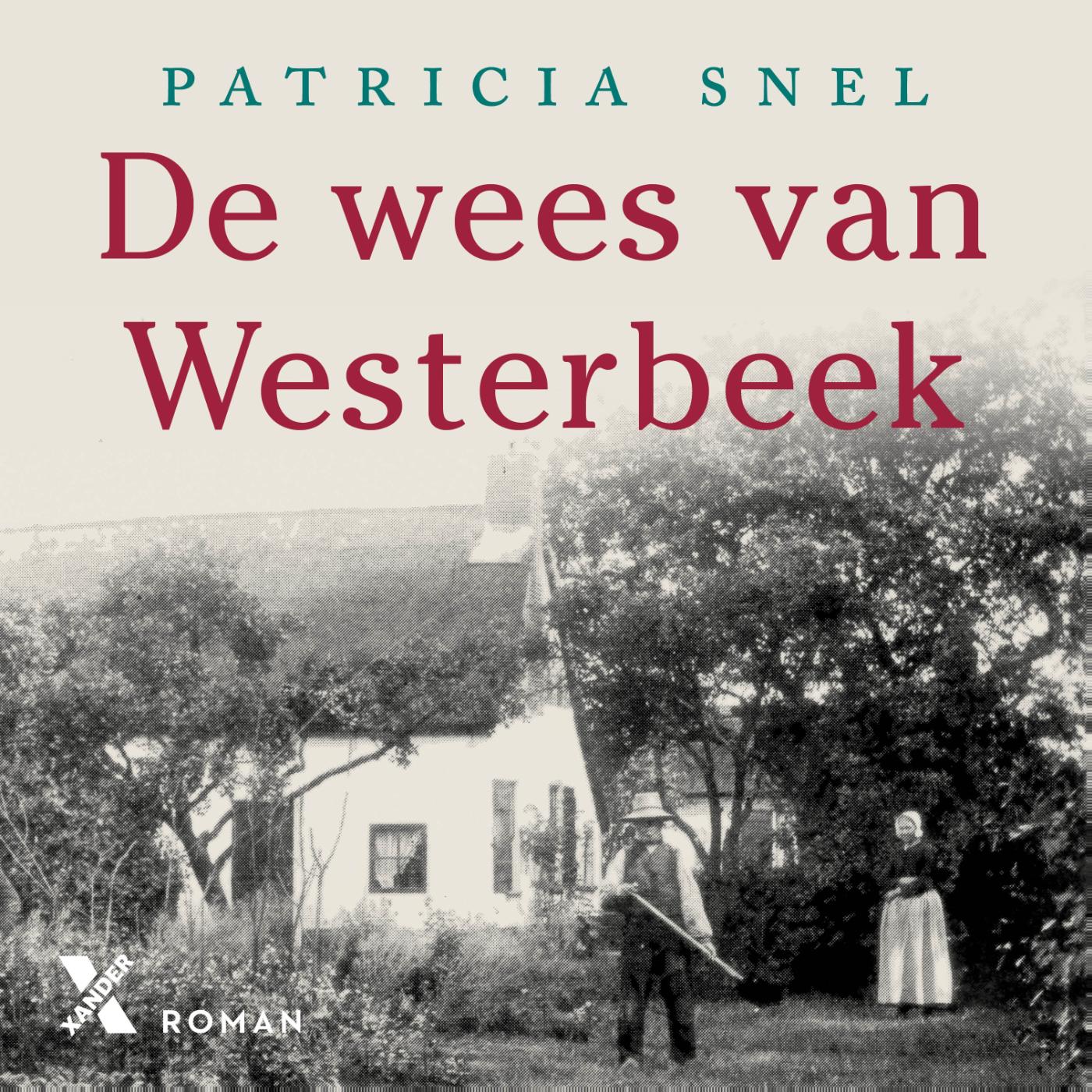Omslag van De wees van Westerbeek