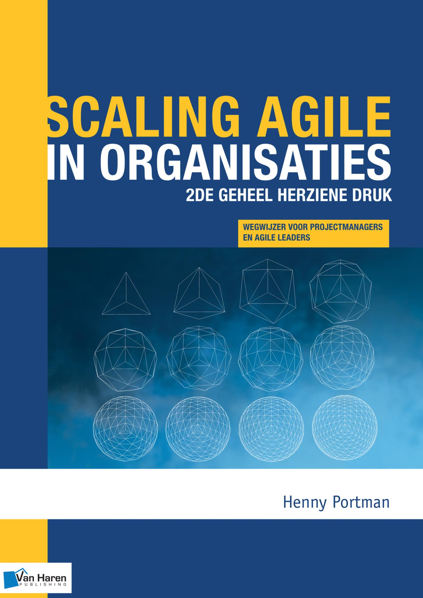 Omslag van Scaling agile in organisaties