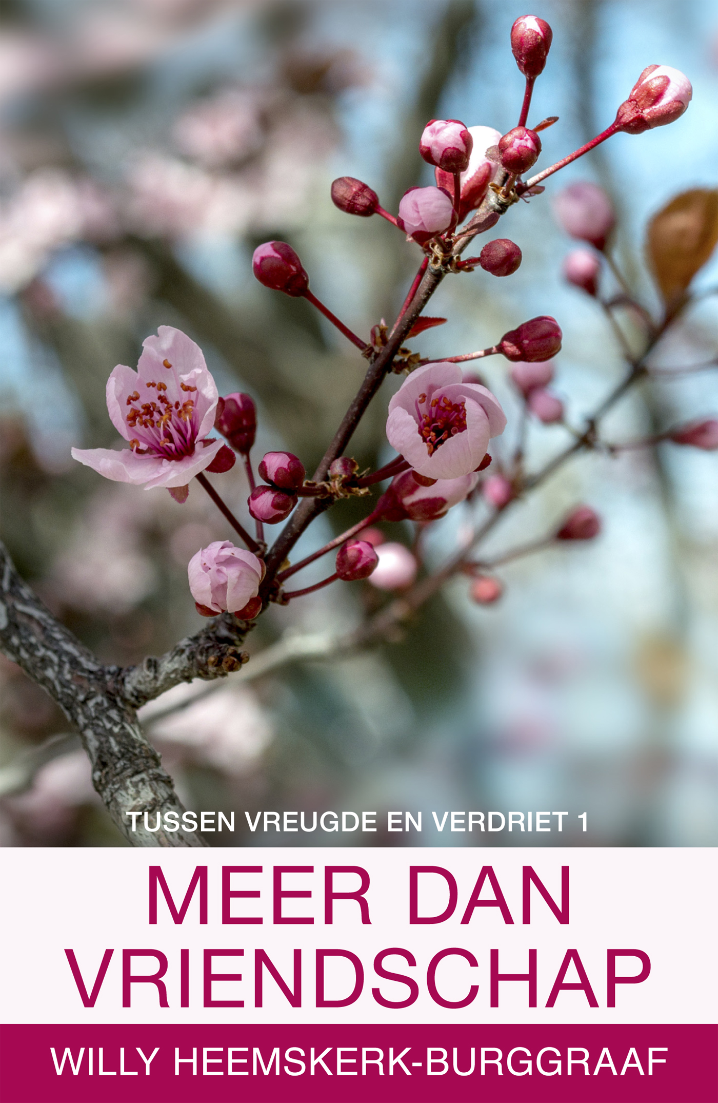 Omslag van Meer dan vriendschap