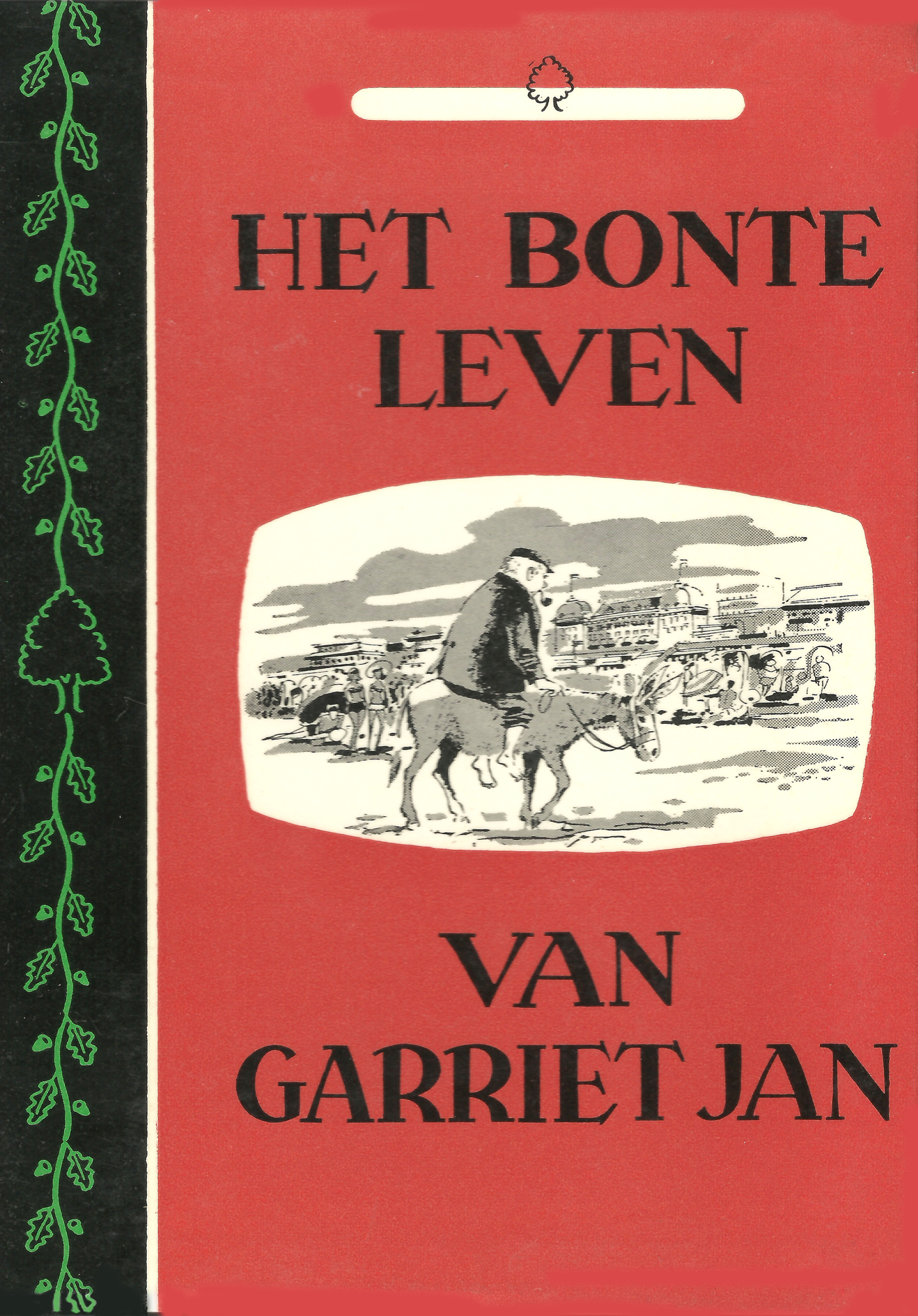 Omslag van Het bonte leven van Garriet Jan