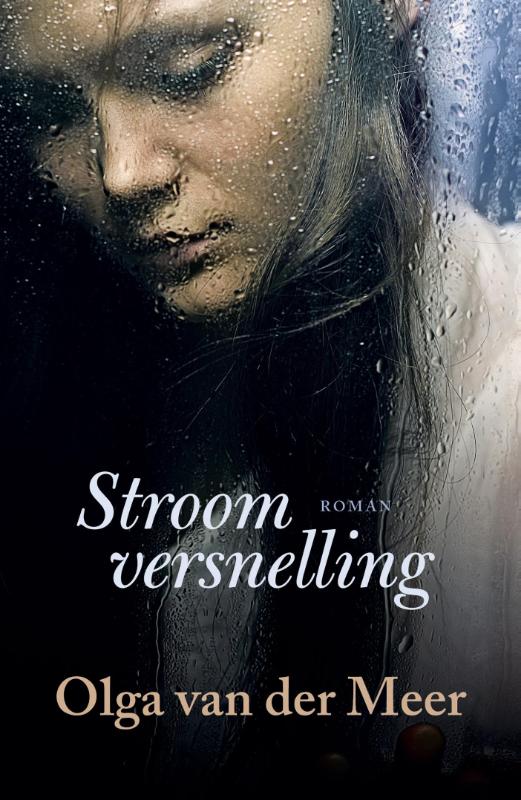 Omslag van Stroomversnelling