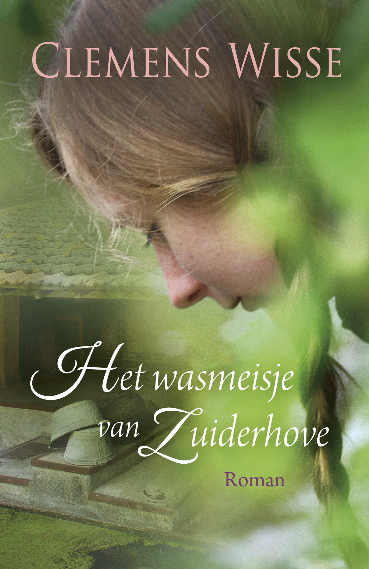 Omslag van Het wasmeisje van Zuiderhove