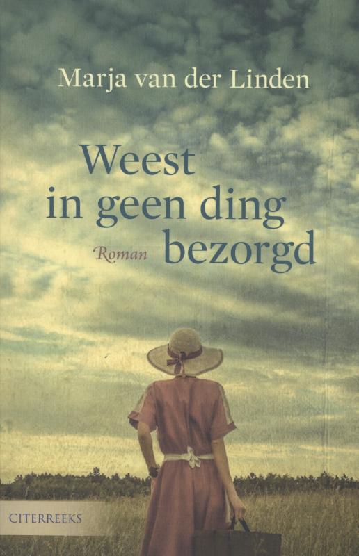 Omslag van Weest in geen ding bezorgd