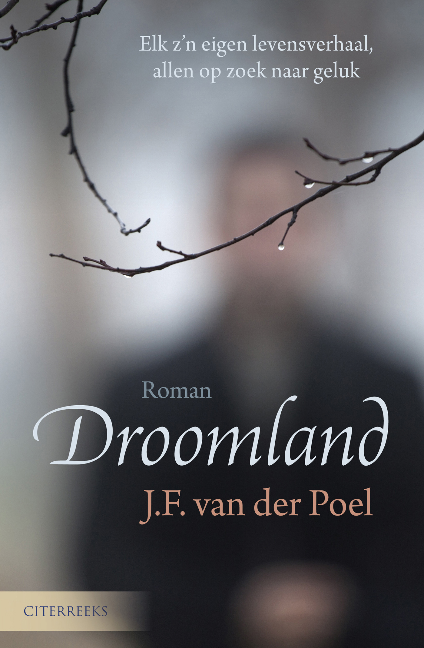Omslag van Droomland