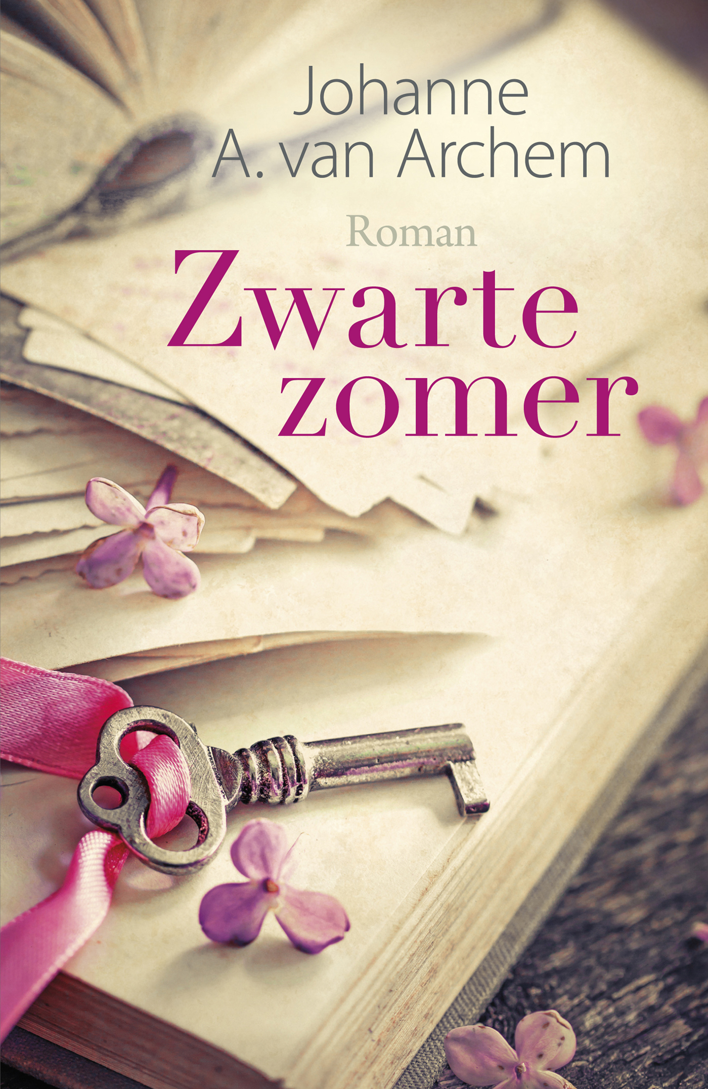 Omslag van Zwarte zomer