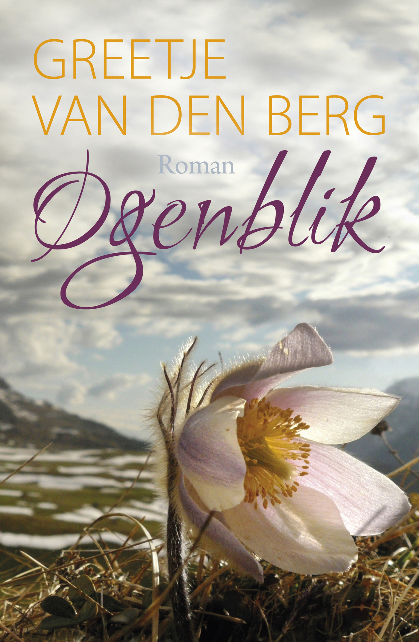 Omslag van Ogenblik