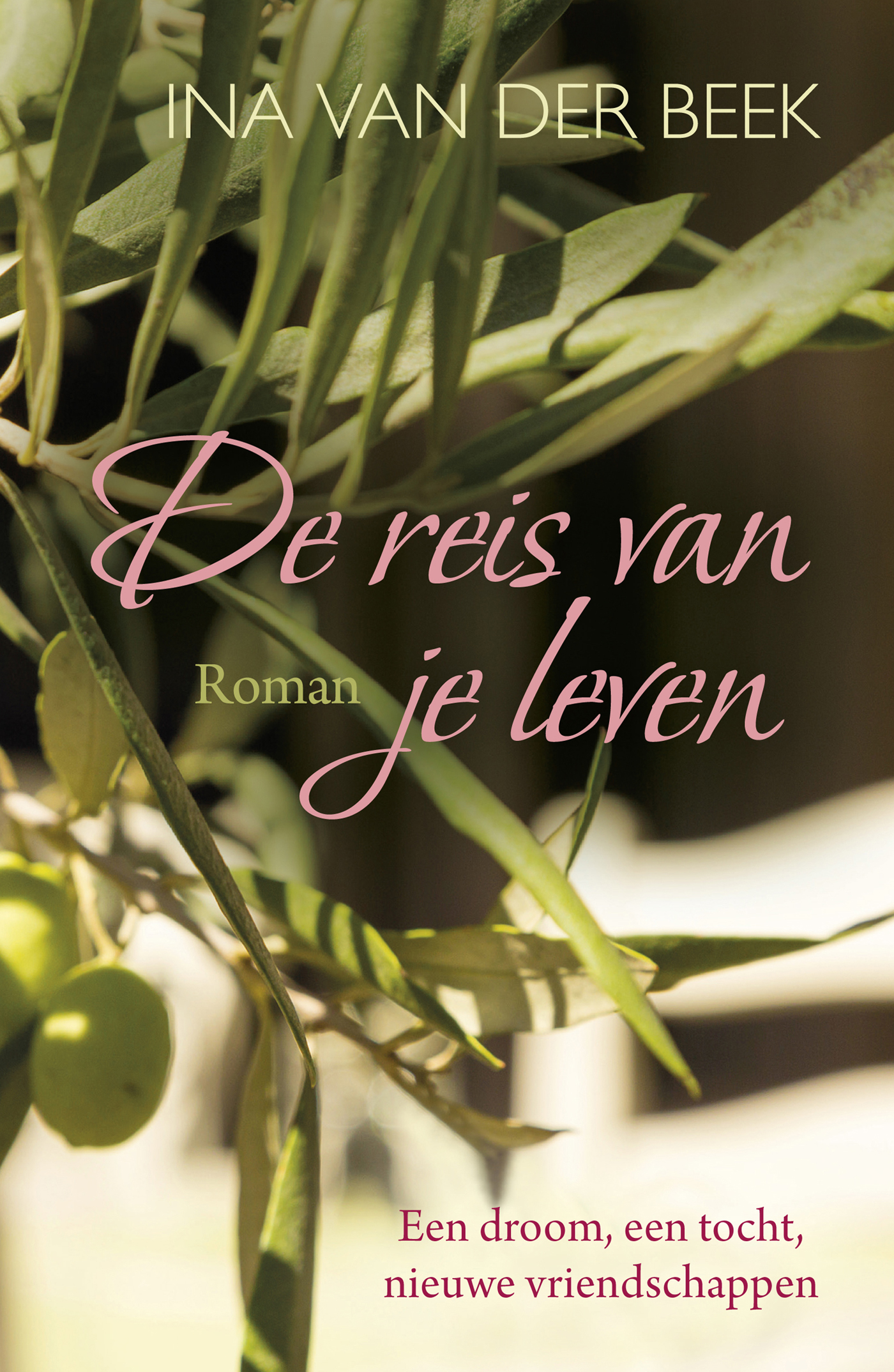 Omslag van De reis van je leven