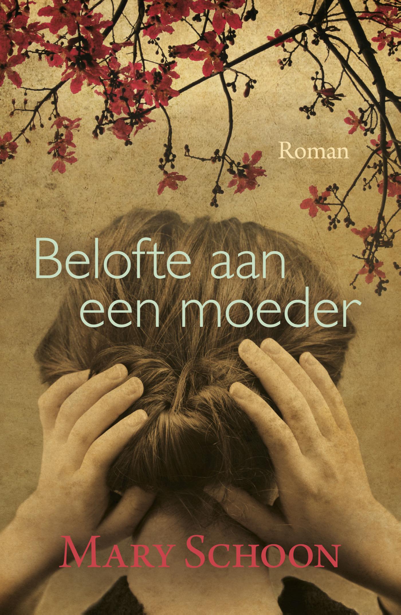 Omslag van Belofte aan een moeder