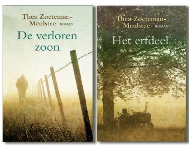 Omslag van Pakket Thea Zoeteman-Meulstee