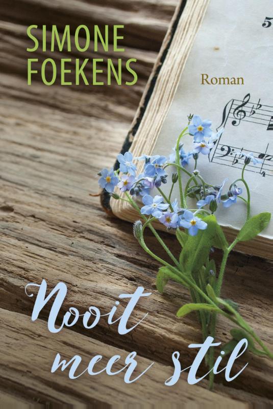 Omslag van Nooit meer stil